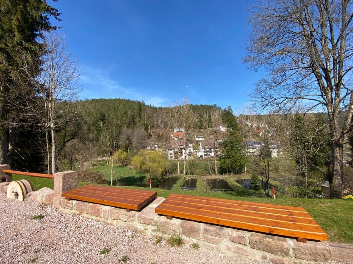 Ferienappartements-Ferienwohnung Steige Schramberg Eksteriør billede